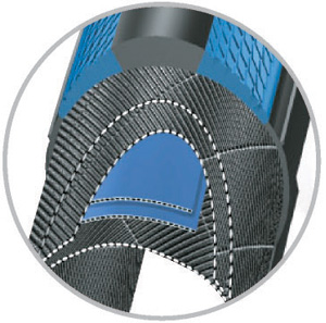 Race Guard